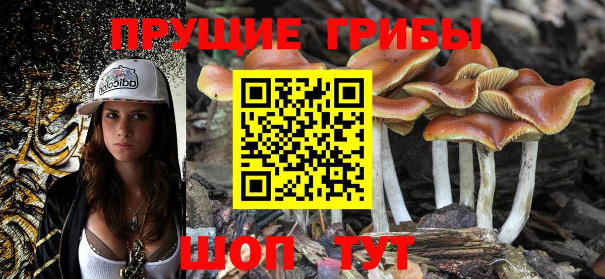 Псилоцибиновые грибы ЛСД Кулебаки