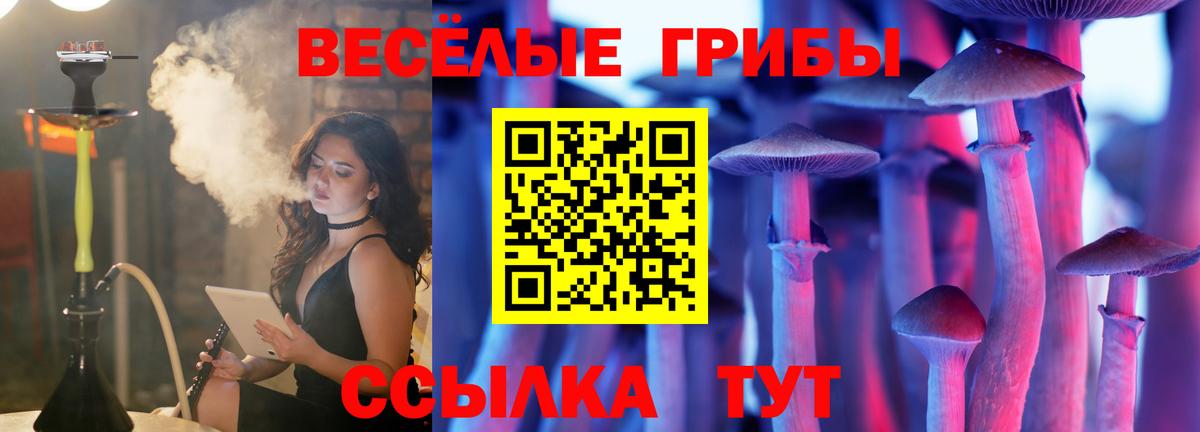 сколько стоит  Вход с VPN  Галлюциногенные грибы Psilocybe  Кулебаки  Галлюциногенные грибы ЛСД 